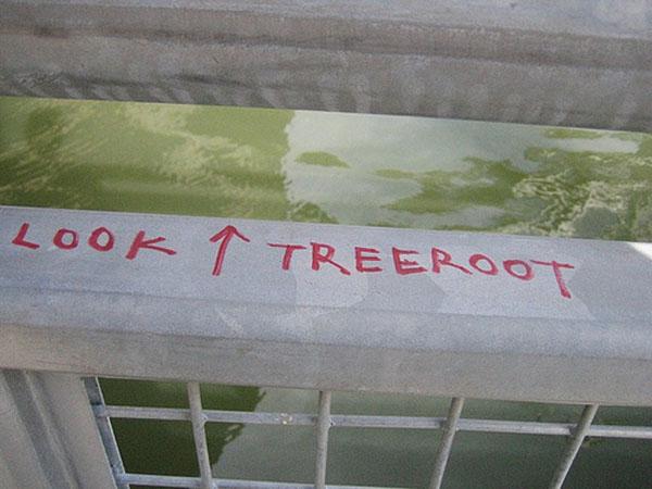 Walk Talk Eat TalkSomeMore