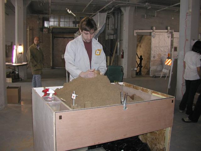 Sandpiles of Opportunity