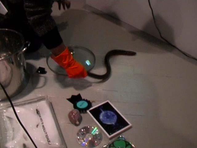 DAMP + ACW: Together Again