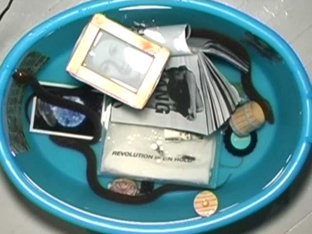 DAMP + ACW: Together Again