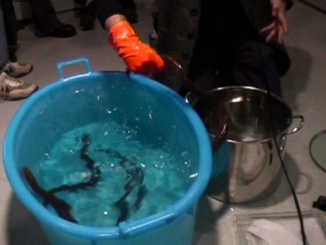 DAMP + ACW: Together Again