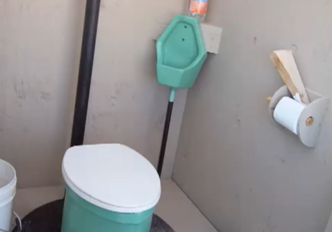 Spontaneous Vegetation