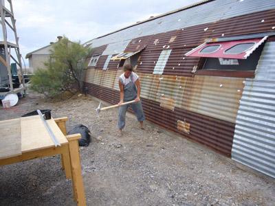 Spontaneous Vegetation