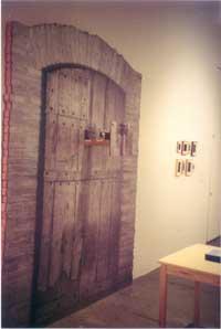 Through the Pedagogical Looking Glass