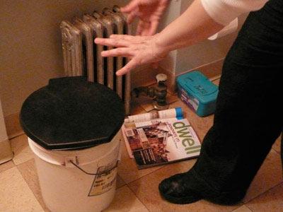 Spontaneous Vegetation