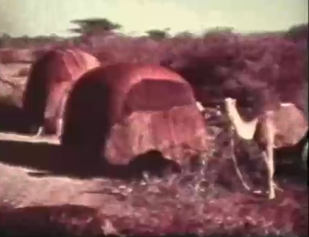 Potluck chat & Vagabondism Class - May 26 2009